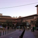 Palma de Mallorca, Market Hall, Mercat de l´Olivar