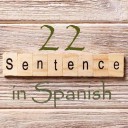 Learn 4500 Spanish sentences used in daily life Part 22 of 50