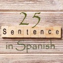 Learn 4500 Spanish sentences used in daily life Part 25 of 50