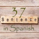Learn 4500 Spanish sentences used in daily life Part 37 of 50