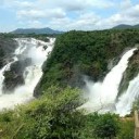 Shivanasamudra Falls