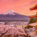 Japanese Words 3