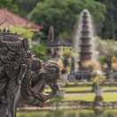 es4- Bali - Flora y fauna
