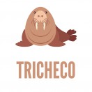 IL TRICHECO