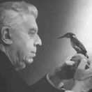 Eugenio Montale - Ossi di Seppia - English Version