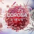 Corona virus