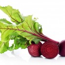 Beetroot