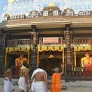 Pejavara Mutt