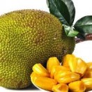 Jackfruit