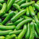 Cucumber
