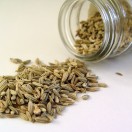 Fennel (Spices)