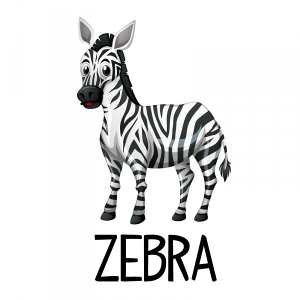 Zebra - English Version - Memozing - E-learning Network